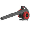 Бензиновый воздуходув пылесос EVOline BLG 31 VAC (4T) Бензиновый воздуходув пылесос EVOline BLG 31 VAC (4T)