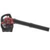 Бензиновый воздуходув пылесос EVOline BLG 31 VAC (4T)